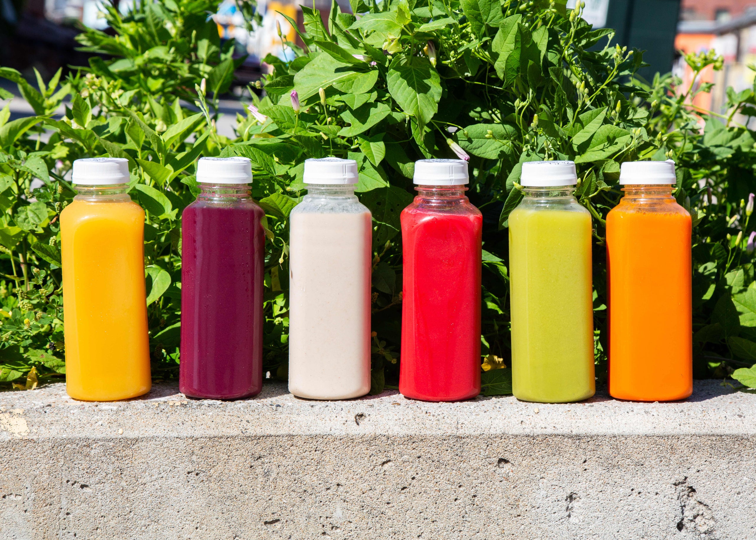 Gratitude Juice Cleanse 1 Day Cafe Gratitude Kansas City